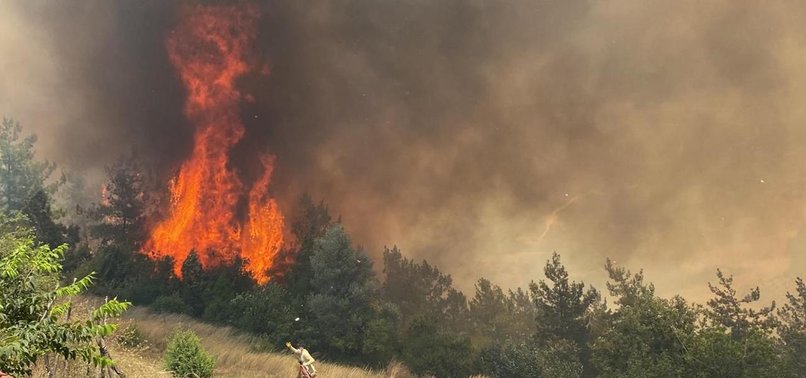 203 FOREST FIRES OCCUR IN THE LAST 10 DAYS IN TÜRKIYE