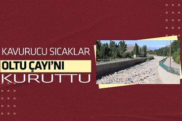 Kavurucu sıcaklar Oltu Çayı’nı kuruttu