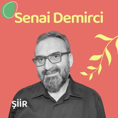 Senai Demirci Şiirleri