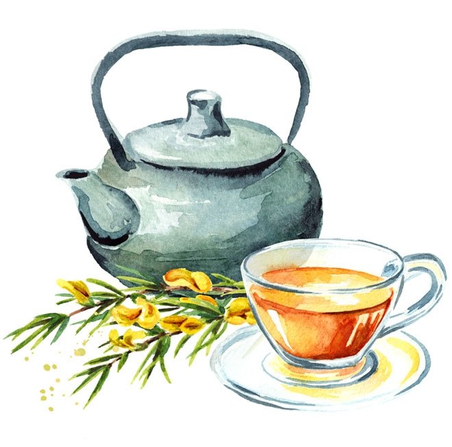 BİTKİ ÇAYLARINA GEÇMEDEN ÖNCE...