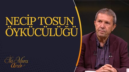 Necip Tosun Öykücülüğü I İki Mısra Arası