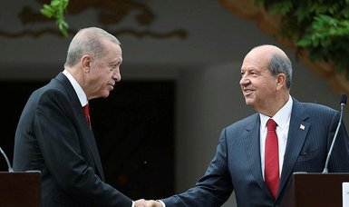 Erdoğan: Türkiye will resolutely continue to support the rights and interests of Northern Cyprus