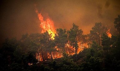 Thousands flee Greek island fires as Northern hemisphere swelters