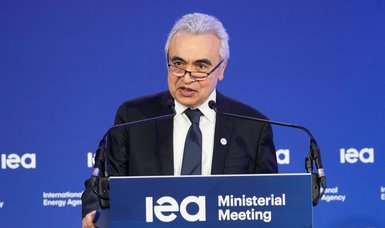 IEA fears climate goals may fall victim to 'Russia's aggression'