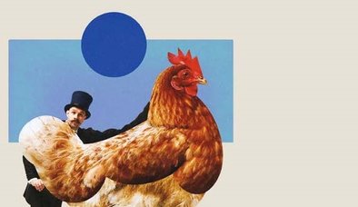 GEZEN TAVUK MU ORGANİK TAVUK MU? YUMURTAYA DAİR HER ŞEY