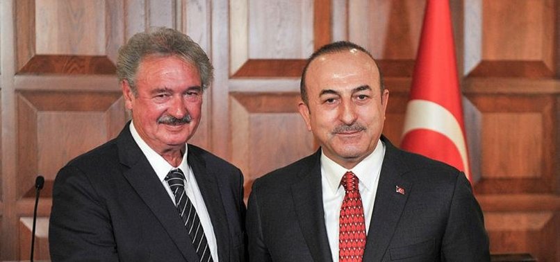 TURKEY, LUXEMBOURG HAVE NO POLITICAL PROBLEMS