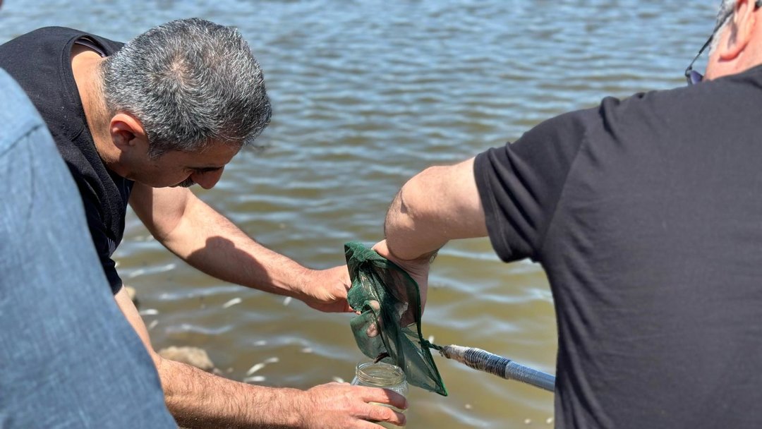 DİYARBAKIR’DA TOPLU BALIK ÖLÜMLERİ