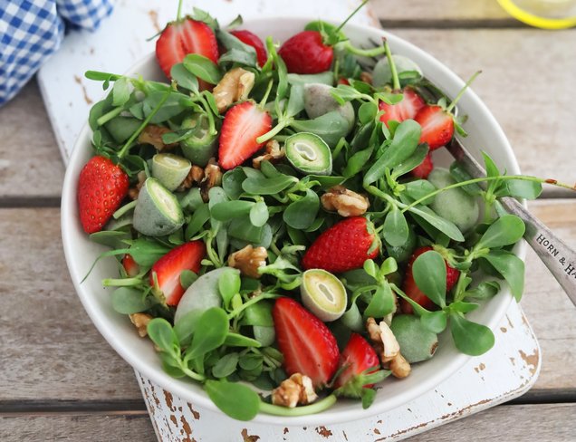 Çilekli, Çağlalı Semizotu Salatası
