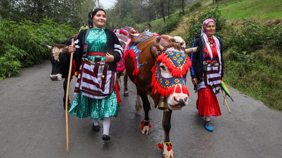 DOĞU KARADENİZ YAYLALARINDAN DÖNÜŞ YOLCULUĞU BAŞLADI