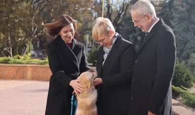 Moldova President Sandu's dog bites visiting Austrian counterpart Alexander Van der Bellen