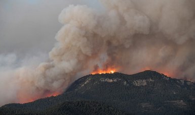 Spain firefighters working to control blaze that has destroyed 4,000 hectares