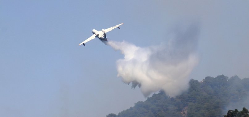 2 UKRAINIAN PLANES SUPPORTING EFFORTS TO BATTLE FOREST FIRES IN TURKEY
