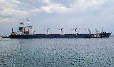 5 more grain ships leave Ukraine under Istanbul deal
