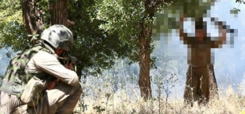 TURKEY: 5 PKK TERRORISTS SURRENDER TO SECURITY FORCES