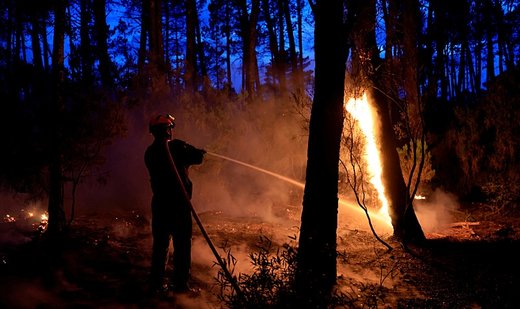 Fire burns 600 hectares of forest in southern France