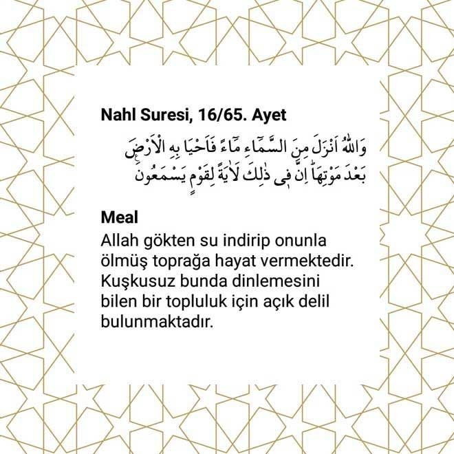 İslam çevre bilinci konusunda bize ne söyler?