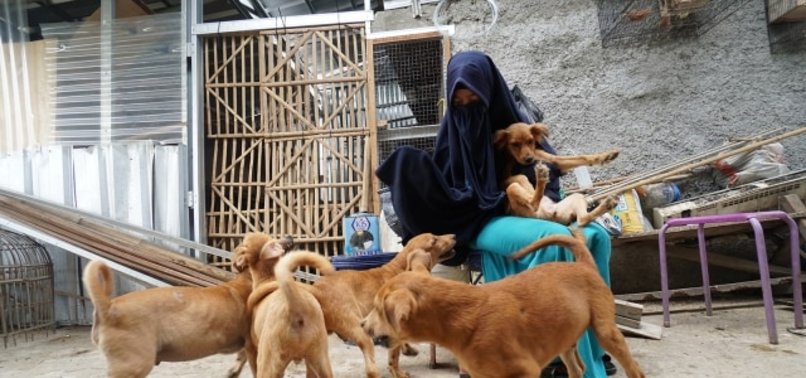INDONESIAN MUSLIM WOMAN RUNS SHELTER FOR STRAY DOGS