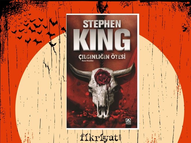 Çılgınlığın Ötesi