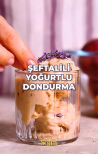 Şeftalili Yoğurtlu Dondurma