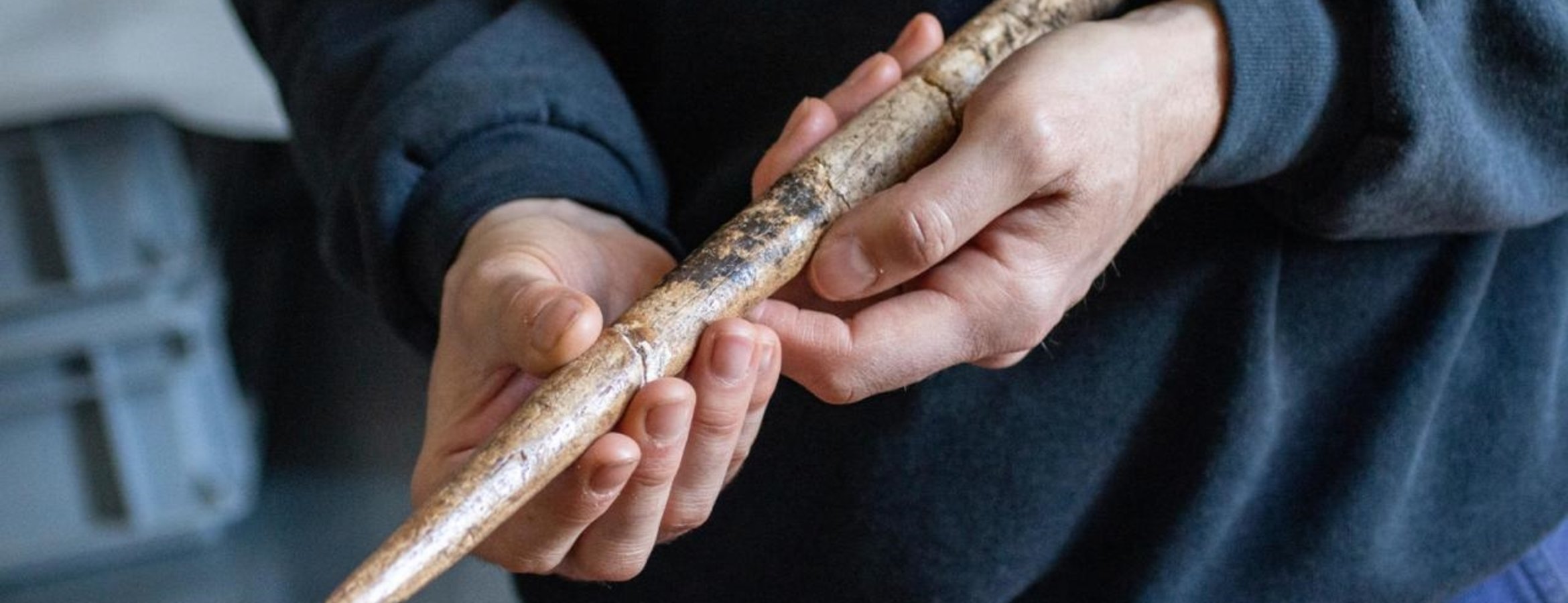 İspanya’da balina kemiklerinden yapılmış 20 bin yıllık aletler bulundu