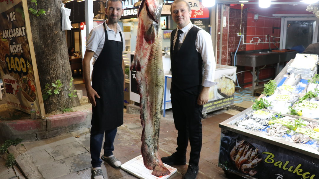 2 METRE 20 SANTİMETRELİK YAYIN YAKALANDI