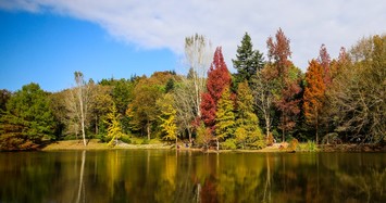 Into the wild: Atatürk Arboretum a safe haven for nature in the heart of Istanbul