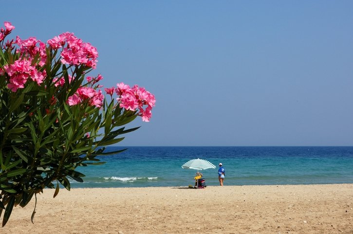 Kuşadası: En topp feriested med klar sjø og vakker natur