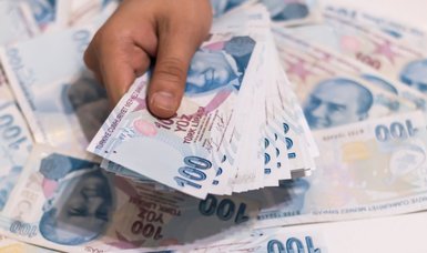 Turkish lira to find its true balance: Treasury minister