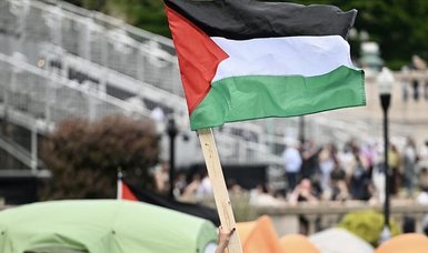 Over dozen U.S. university faculty members join pro-Gaza hunger strikers