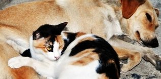 Onları unutmayalım