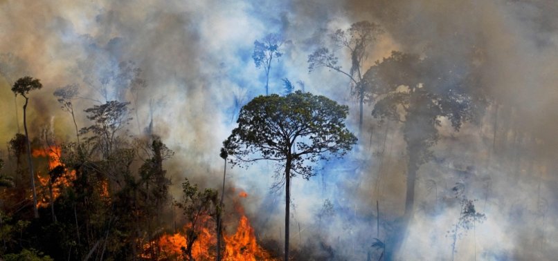 DEFORESTATION IN BRAZILIAN AMAZON REMAINS HIGH IN MAY