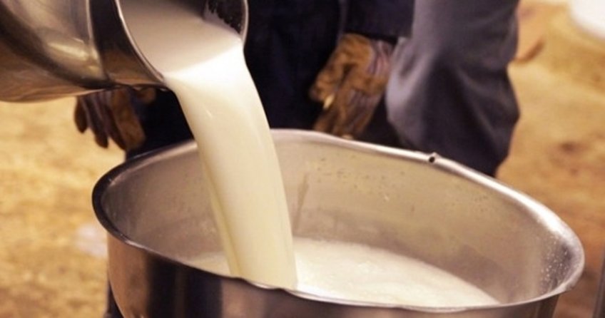 Çiğ süt satışında yeni dönem başlıyor