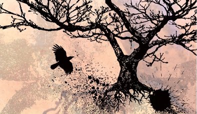 Bir yaz gecesi rüyası