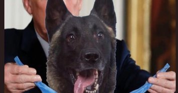 Trump shares fake photo of Baghdadi dog getting medal