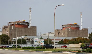 Director general of Zaporizhzhia nuclear plant detained by Russian patrol: Energoatom