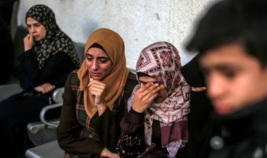 UN experts 'appalled' by reported rights violations against Palestinian women, girls
