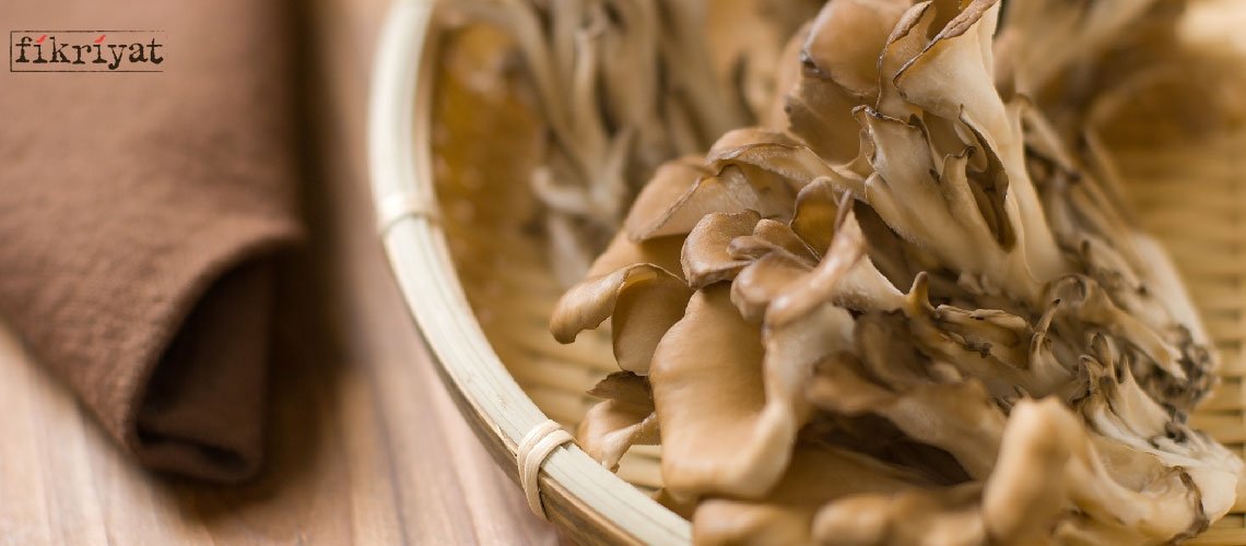 Maitake Mantarı