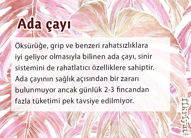 Ada çayı