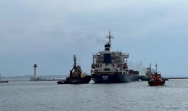 5 more grain ships leave Ukraine under Istanbul deal: Türkiye