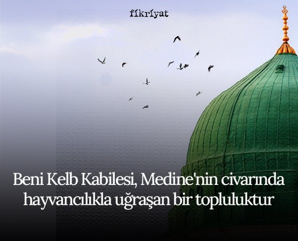 BENİ KELB KABİLESİ