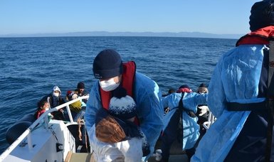 Turkey saves 46 irregular migrants in Aegean Sea