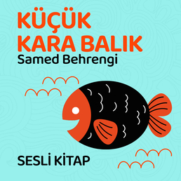 Küçük Kara Balık