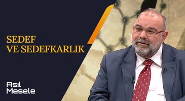 Sedef ve Sedefkarlık | Asıl Mesele