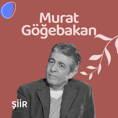 Vurgunum
