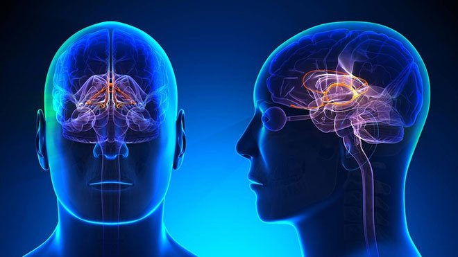 ŞİZOFRENİ NEDEN OLUŞUR?