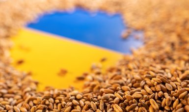 Bulgarian parliament votes to lift ban on grain imports from Ukraine