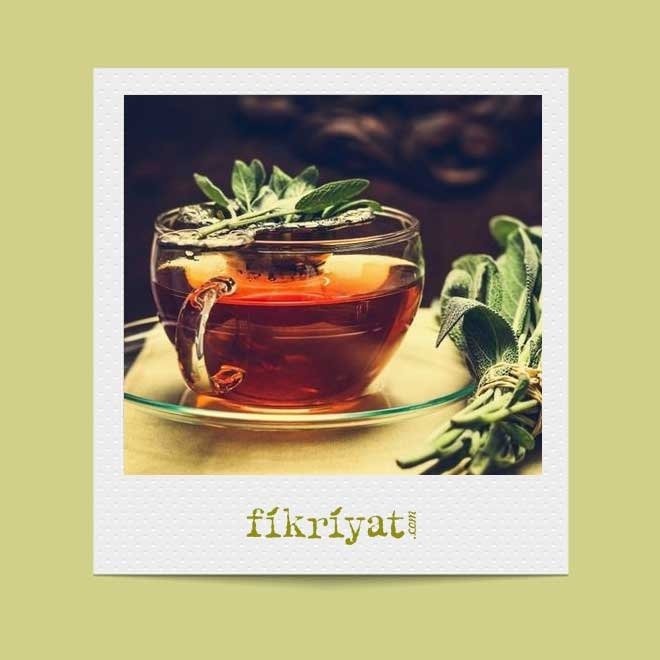 DOĞAL ANTİBİYOTİK: ADA ÇAYI