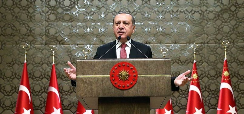 TURKEYS STRUGGLE IS WITH FORCES BEHIND TERROR GROUPS
