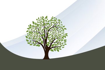 Yaprak Dökmeyen Ağaçlar - Fikriyat Çocuk