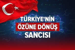 Bir hikaye: Maymun kadrosundaki aslan